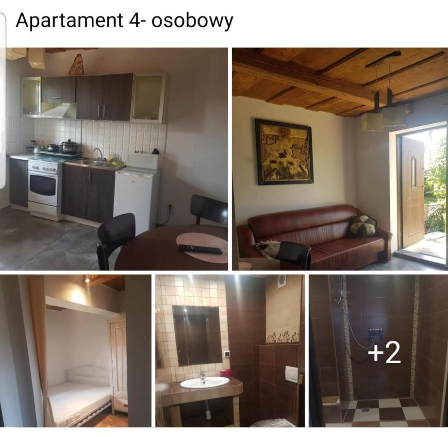 Lipnica WielkaRanczo Pod Babia Gora公寓 外观 照片